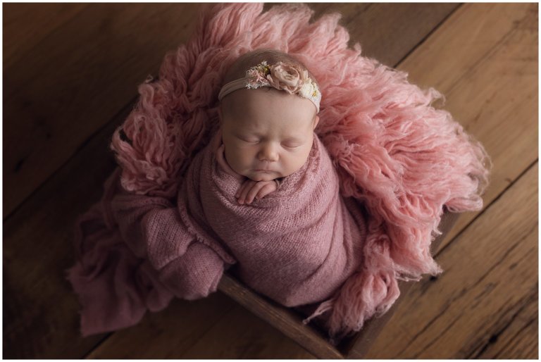 newborn photographer in nashville